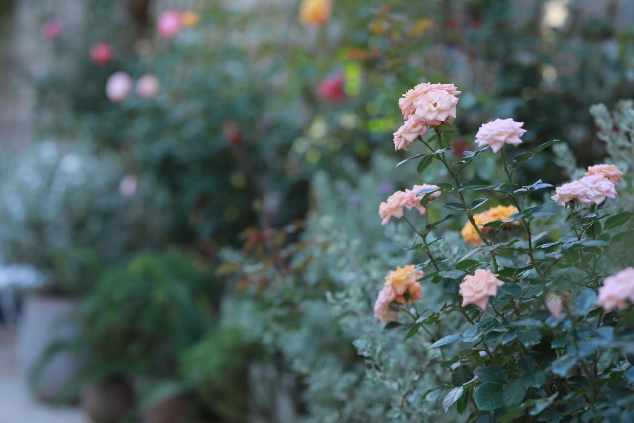 דה לאט La Vie En Rose 2 Hotel מראה חיצוני תמונה